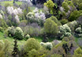 <center>Harmonie des couleurs où les tonalités se marient agréablement. prairie chilhac  gorge de l 'allier 